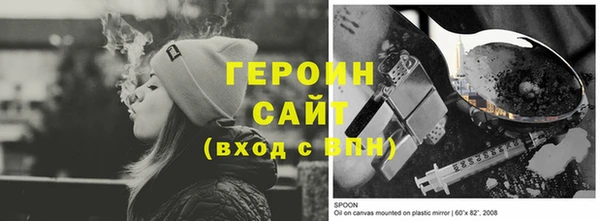 индика Новодвинск