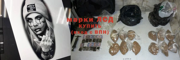 гашик Билибино