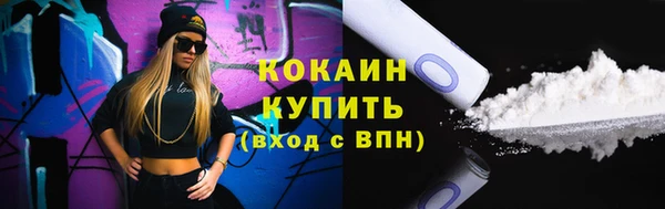 индика Покачи