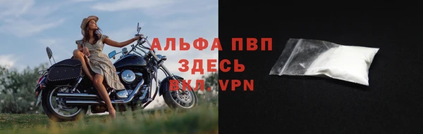 гашик Билибино
