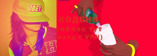 индика Новодвинск