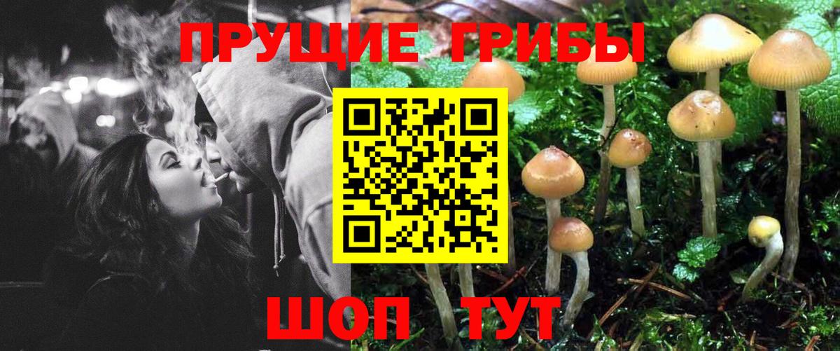 Псилоцибиновые грибы Cubensis  Псилоцибиновые грибы прущие грибы  Комсомольск-на-Амуре  Вход с VPN 